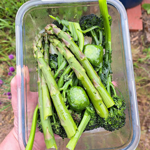 Wild Garlic Ice Cubes - The Perfect Easy Flavour Hit