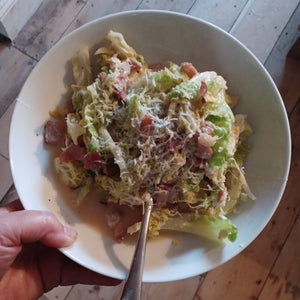 Five Minute Meal - Cabbage, Bacon & Mozzarella