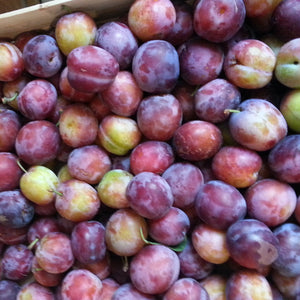 Let's Talk About Plums Baby - Kitchen Mojo
