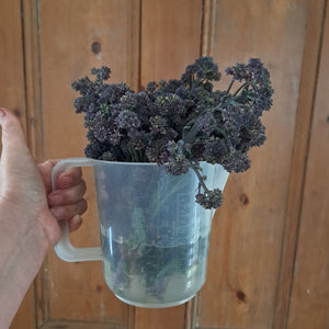 Purple Sprouting Hack
