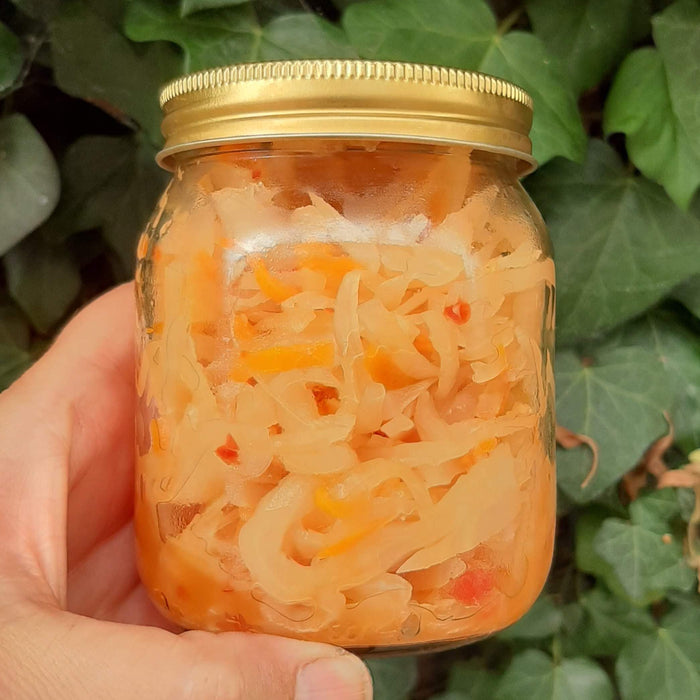 Monthly Wasted Ferment Delivery Subscription